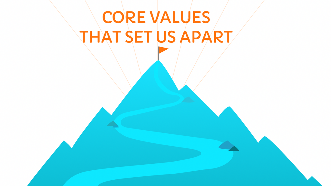 Core Values That Set Us Apart