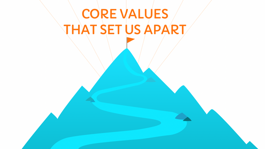 Core Values That Set Us Apart