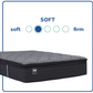 Sealy Princeton Soft Pillow Top